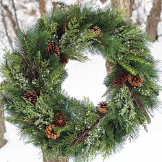 a christmas wreath hanging from a tree in the snow with pine cones and evergreen needles