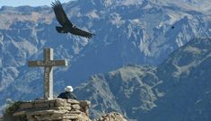 a bird flying over a cross on top of a mountain