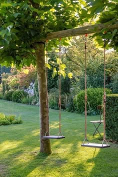 two swings in the middle of a lush green yard