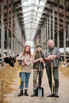 two men and a woman holding shovels while standing next to cows in a barn