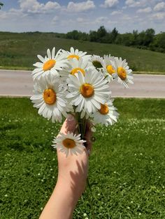 a person holding up some daisies in their hand on the grass near a road