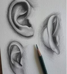 a pencil drawing of three different ear shapes