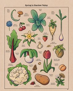 a poster with different types of vegetables on it