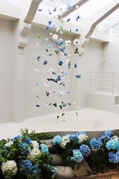 blue and white flowers are floating in the air