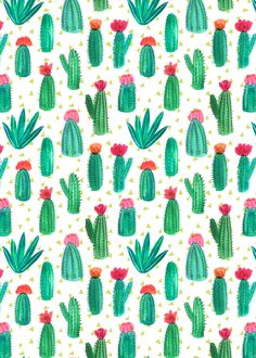 watercolor cactus and succulents on white background