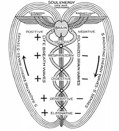 Polarity Therapy, Secret Energy, Sacred Science, Sacred Geometry Symbols, Alchemy Symbols, Spirit Science, Energy Medicine, Ancient Knowledge, Les Chakras