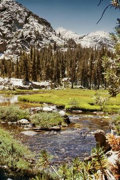 a small stream running through a forest filled with trees and snow covered mountains in the distance