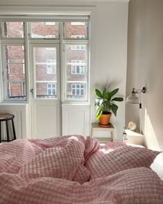 a bed with pink comforter and pillows in front of a window next to a potted plant