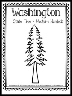 the washington state tree - western hemlock coloring page is shown in black and white