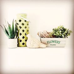 some plants are sitting on a shelf next to a flower pot and a planter