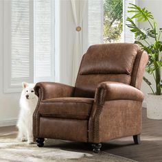 a white cat standing next to a brown recliner