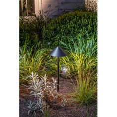 an outdoor lamp in the middle of some plants and shrubs near a house at night