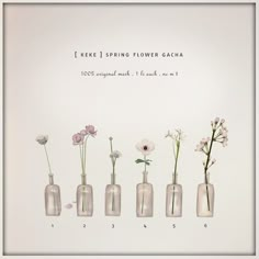 there are five vases with flowers in them on the same page, each one is different