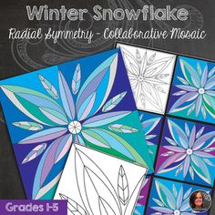 the winter snowflake coloring book features four different colors and designs, including flowers