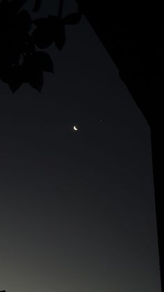 the moon and venus are visible in the night sky above some buildings, with silhouettes of trees on either side