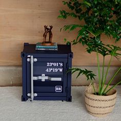 a small blue box sitting next to a potted plant on top of a white rug