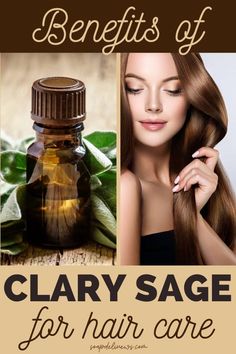 Clary Sage Essential Oil Benefits, Sage Essential Oil Benefits, Oil Benefits For Hair, Herbal Hair Conditioner, Hair Conditioner Recipe, Diy Hair Care Recipes, Sage Benefits, Stimulating Hair Growth, Thicker Stronger Hair