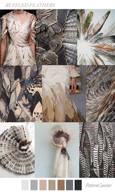 the screen shot shows different types of feathers and patterns on this page, including an image of