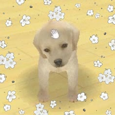 a white dog standing on top of a yellow floor covered in flowers and small white flowers