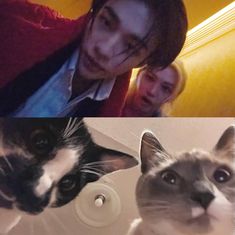 two pictures one with a cat and the other with a man's face in it