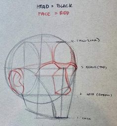 the drawing shows how to draw head and neck