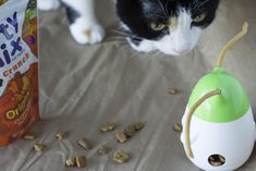 a black and white cat looking at a toy mouse next to a bag of cereal