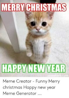 an orange cat standing on its hind legs with the caption merry christmas meme creator - funny merry new year meme generator