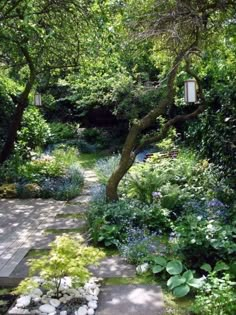 a garden with lots of trees and plants on it's sides, surrounded by stone steps