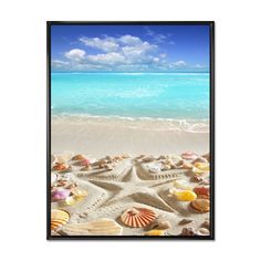 seashells and starfish on the beach framed in black