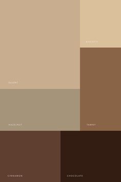 Color Exploration: Brown Light Brown Color Scheme, Hot Chocolate Color Palette, Colours That Go With Chocolate Brown, Brown Colour Palette Aesthetic, Brown Interior Color Palette, Brown Business Aesthetic, Muted Brown Color Palette, Espresso Brown Color Palette, Hazelnut Color Palette