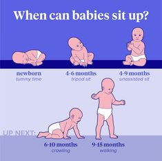 the baby's stages are shown in this chart