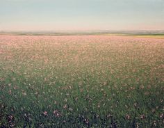 a large field full of green grass and pink flowers