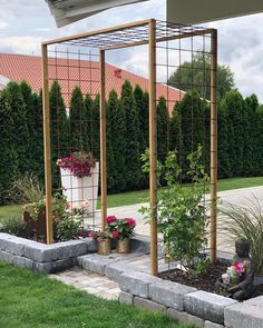 an outdoor garden area with flowers and plants