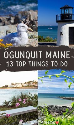 the top things to do in ogunquiti maine, including lighthouses and seagulls