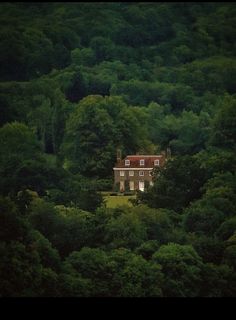 an old house in the middle of a lush green forest area with trees surrounding it