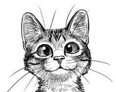 a black and white drawing of a cat's face with japanese characters in the background