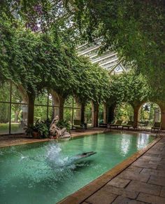 an indoor swimming pool surrounded by trees and greenery with two dolphins in the water