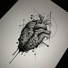 a drawing of a human heart on paper