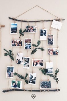 a group of photos hanging on a wall next to a wooden stick and some pine branches