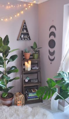 a living room filled with lots of plants next to a wall mounted planter and bookshelf