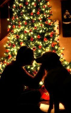 a woman and her dog sitting in front of a christmas tree with lights on it