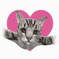 a cat sticking its head out from behind a heart