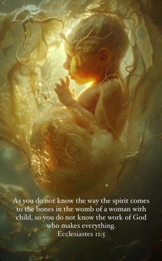 a baby in a nest with the words, as you do not know the way the spirit comes to the bones in the womb