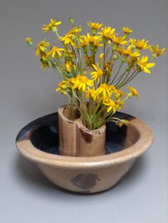 yellow flowers in a ceramic bowl on a table