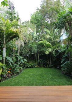 a wooden deck surrounded by lush green plants and trees in a garden area with lots of greenery