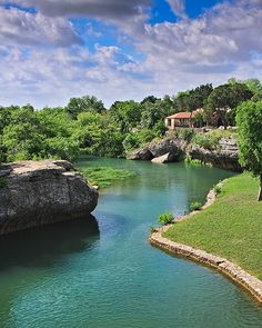 a river running through a lush green forest