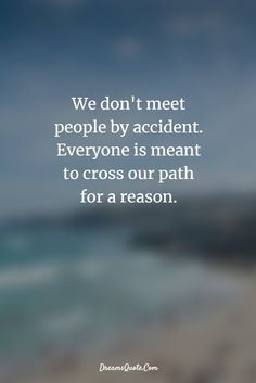 the quote we don't meet people by accident everyone is meant to cross our path for a reason