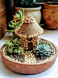 a potted planter filled with lots of succulents next to plants