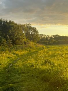 the sun is setting over a grassy field with trees in the background