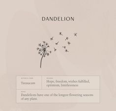 a dandelion with the words hope, freedom, wish - filled, ornament, limitinessness